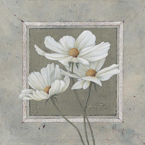 Antique II Black Modern Wood Framed Art Print by Paus, Hans