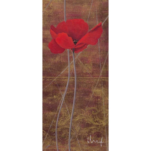 Antique Red I Black Modern Wood Framed Art Print with Double Matting by Paus, Hans