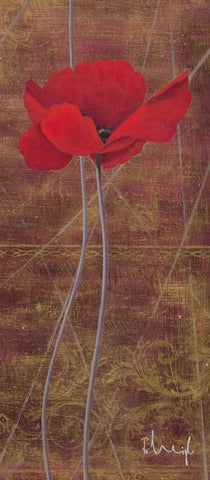 Antique Red I White Modern Wood Framed Art Print with Double Matting by Paus, Hans