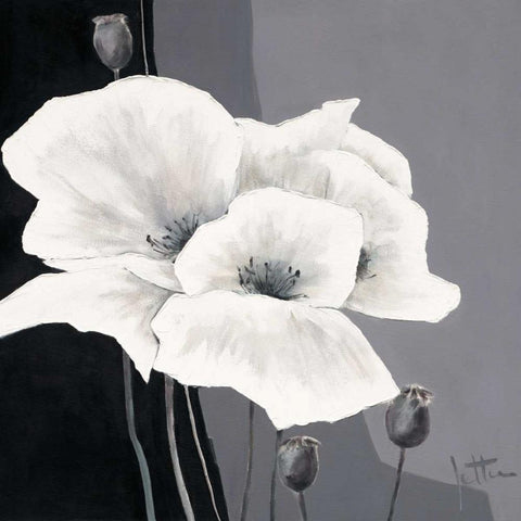 Decora I White Modern Wood Framed Art Print with Double Matting by Roseboom, Jettie