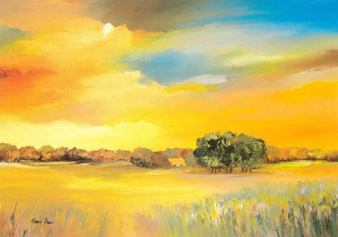 Serene I White Modern Wood Framed Art Print with Double Matting by Paus, Hans