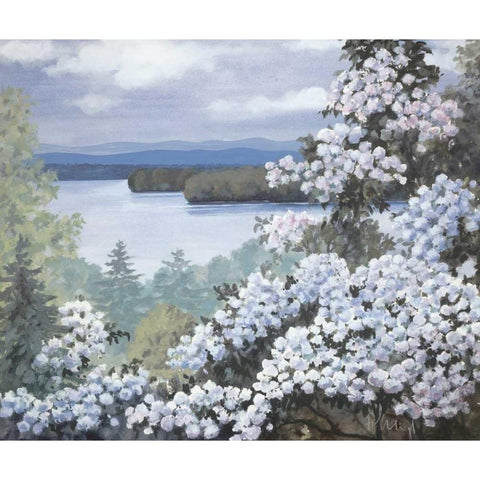 Water base I Black Modern Wood Framed Art Print with Double Matting by Heigl, Franz