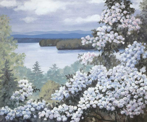 Water base I White Modern Wood Framed Art Print with Double Matting by Heigl, Franz