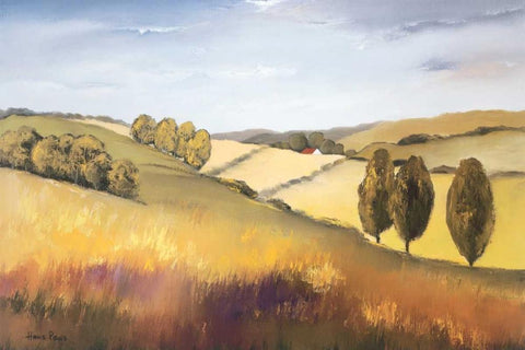 The cottswold II Black Ornate Wood Framed Art Print with Double Matting by Paus, Hans