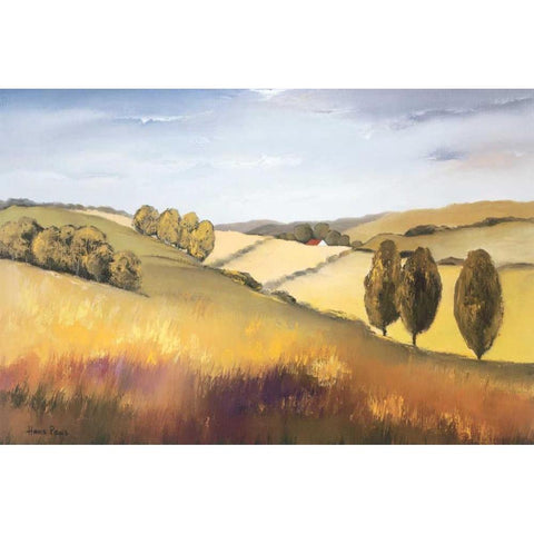 The cottswold II Black Modern Wood Framed Art Print by Paus, Hans