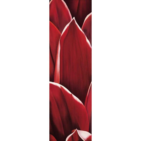 Dahlia I Black Modern Wood Framed Art Print by Poelstra-Holzhaus, Yvonne