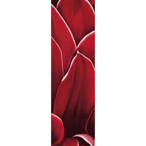 Dahlia II Black Modern Wood Framed Art Print by Poelstra-Holzhaus, Yvonne