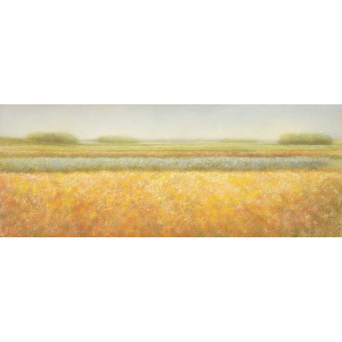 View White Modern Wood Framed Art Print by Dolieslager, Hans