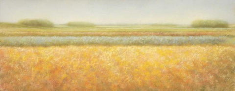 View Black Ornate Wood Framed Art Print with Double Matting by Dolieslager, Hans