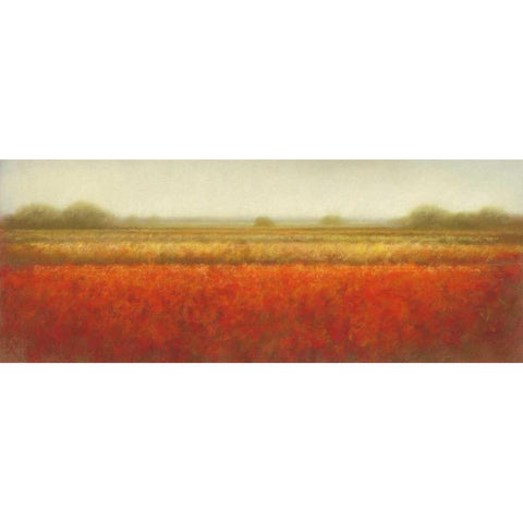 Field of poppies White Modern Wood Framed Art Print by Dolieslager, Hans