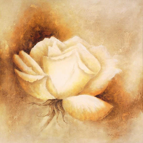 White rose I Gold Ornate Wood Framed Art Print with Double Matting by Jansma, Betty
