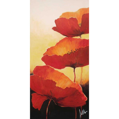 Three red popppies II White Modern Wood Framed Art Print by Roseboom, Jettie