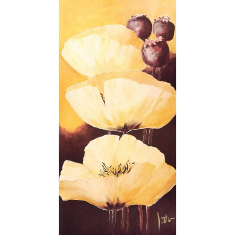 Yellow Poppies IV White Modern Wood Framed Art Print by Roseboom, Jettie