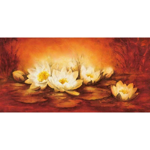 Water Lilies Black Modern Wood Framed Art Print with Double Matting by Jansma, Betty
