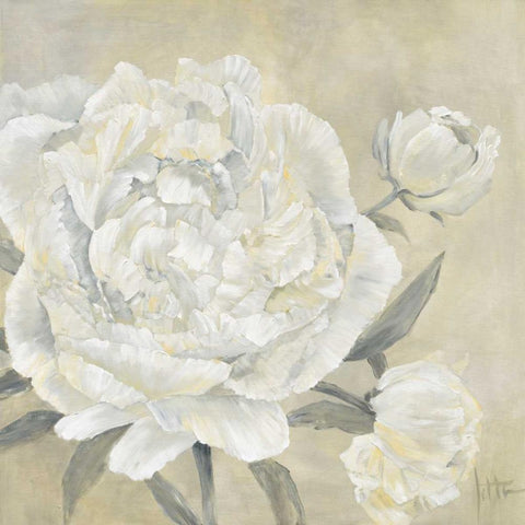 Paeonia II Gold Ornate Wood Framed Art Print with Double Matting by Roseboom, Jettie