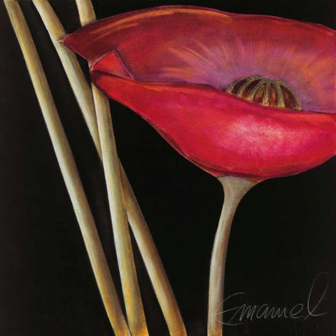 Excellent III Black Ornate Wood Framed Art Print with Double Matting by Emanuel, Beate