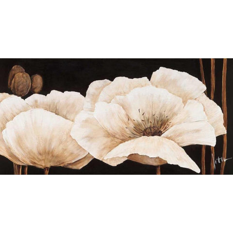 Amazing poppies IV Black Modern Wood Framed Art Print with Double Matting by Roseboom, Jettie