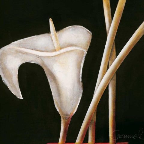 Lily in sepia I Black Modern Wood Framed Art Print by Emanuel, Beate