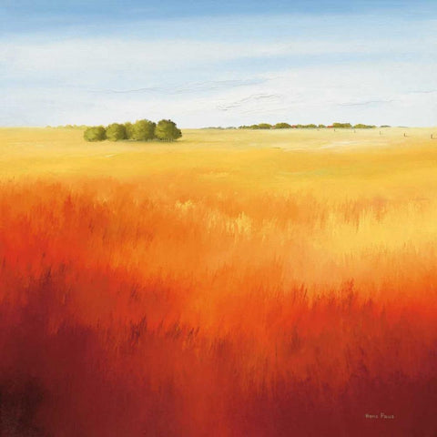 Red field II Black Modern Wood Framed Art Print with Double Matting by Paus, Hans