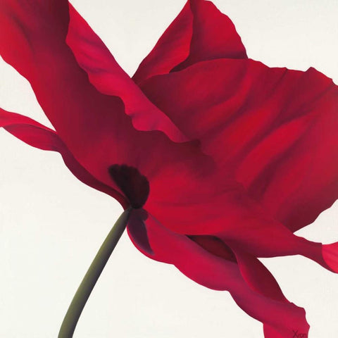 Papaver I Black Ornate Wood Framed Art Print with Double Matting by Poelstra-Holzhaus, Yvonne