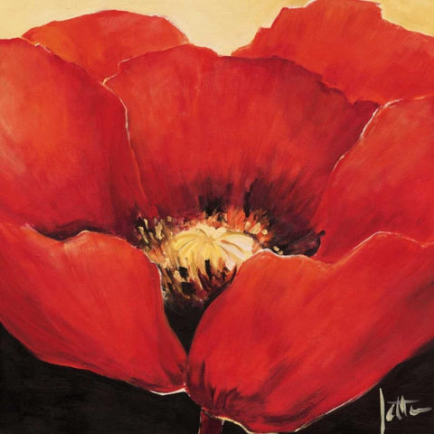 Red beauty I White Modern Wood Framed Art Print with Double Matting by Roseboom, Jettie