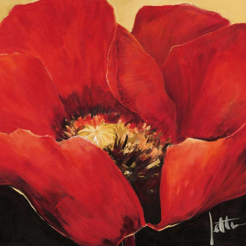 Red beauty II White Modern Wood Framed Art Print with Double Matting by Roseboom, Jettie