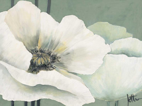 Poppy in Green I White Modern Wood Framed Art Print with Double Matting by Roseboom, Jettie