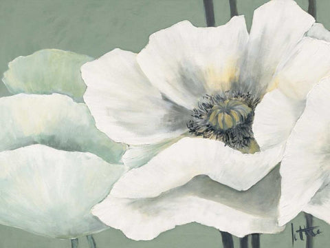 Poppy in Green II Black Ornate Wood Framed Art Print with Double Matting by Roseboom, Jettie