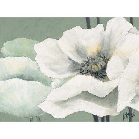 Poppy in Green II Black Modern Wood Framed Art Print by Roseboom, Jettie