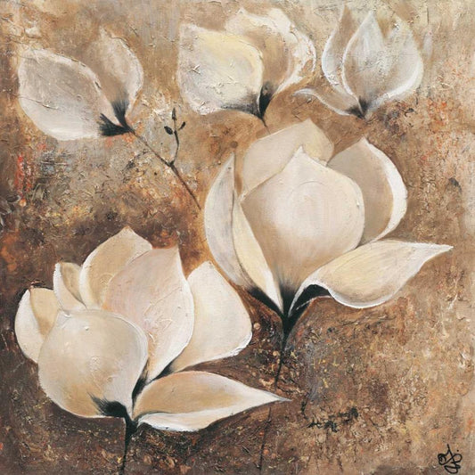 Image Only