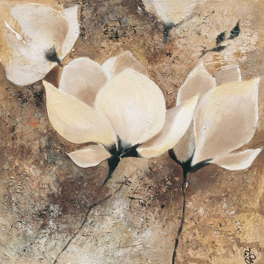 Image Only