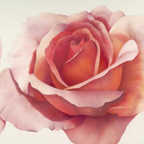 Magnificence III Black Modern Wood Framed Art Print by Poelstra-Holzhaus, Yvonne