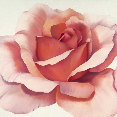 Magnificence IV Black Ornate Wood Framed Art Print with Double Matting by Poelstra-Holzhaus, Yvonne