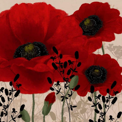 Red poppies II White Modern Wood Framed Art Print with Double Matting by Linda, Wood