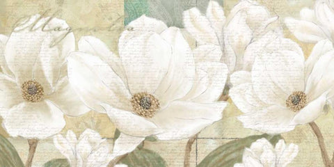 Magnolia Black Ornate Wood Framed Art Print with Double Matting by Linda, Wood