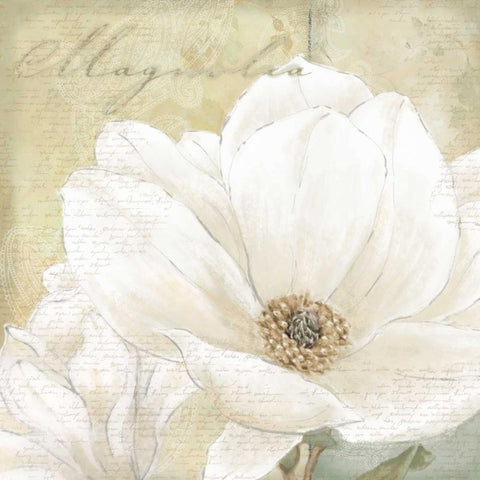 Aqua Magnolia I Gold Ornate Wood Framed Art Print with Double Matting by Linda, Wood