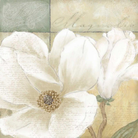 Aqua magnolia II Black Ornate Wood Framed Art Print with Double Matting by Linda, Wood