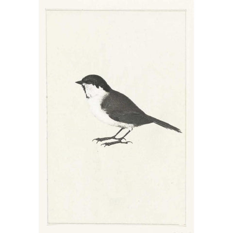 Birdy I White Modern Wood Framed Art Print by Waltz, Anne