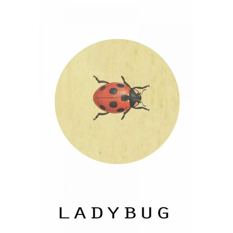 Ladybug White Modern Wood Framed Art Print by Waltz, Anne