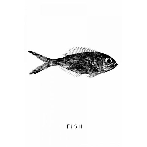 Fish Black Modern Wood Framed Art Print by Waltz, Anne