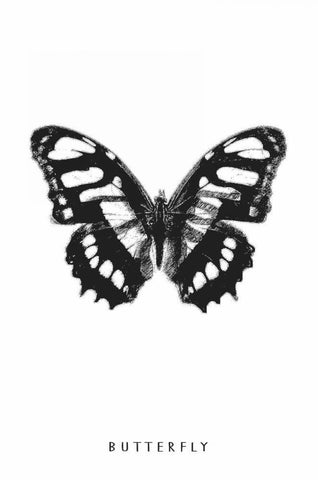 Butterfly White Modern Wood Framed Art Print with Double Matting by Waltz, Anne