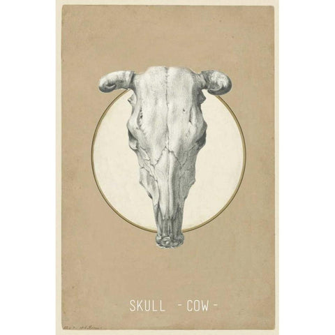 Skull White Modern Wood Framed Art Print by Waltz, Anne