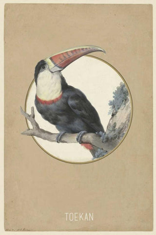 Toekan Black Ornate Wood Framed Art Print with Double Matting by Waltz, Anne