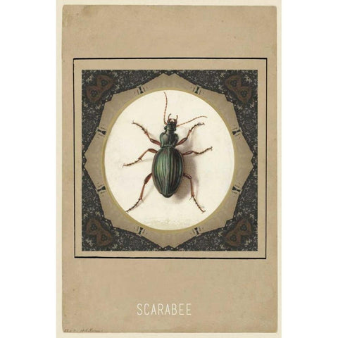 Scarabee Black Modern Wood Framed Art Print by Waltz, Anne