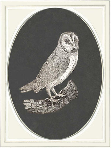 Oehoe II Black Ornate Wood Framed Art Print with Double Matting by Waltz, Anne