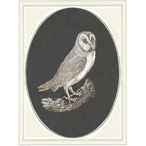 Oehoe II Gold Ornate Wood Framed Art Print with Double Matting by Waltz, Anne