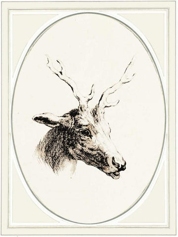 Deer I White Modern Wood Framed Art Print with Double Matting by Waltz, Anne