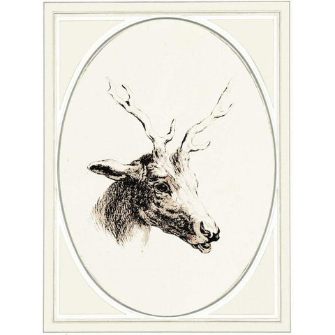Deer I Gold Ornate Wood Framed Art Print with Double Matting by Waltz, Anne