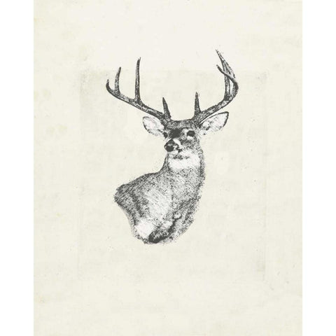 Deer wild I Black Modern Wood Framed Art Print by Waltz, Anne