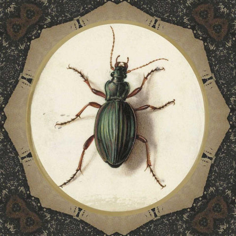 Bug me.. Black Ornate Wood Framed Art Print with Double Matting by Waltz, Anne